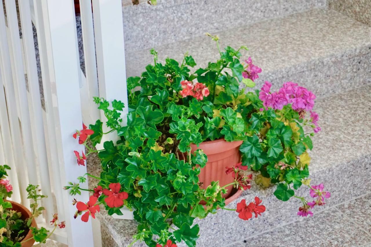 Rosette Apartment Seget Vranjica Buitenkant foto